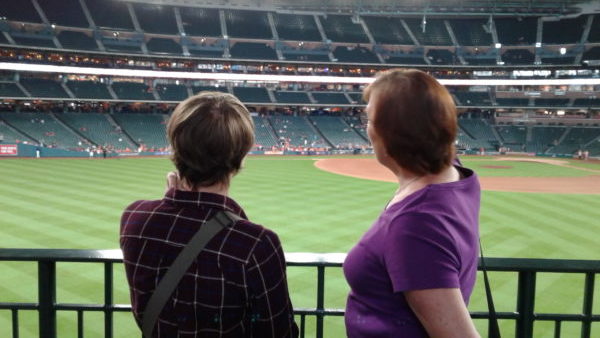 Astro Ball Park Game